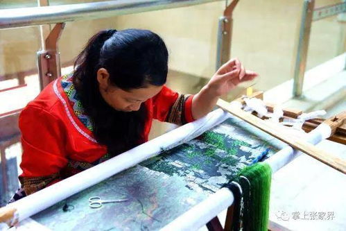 探秘张家界非遗，研学之旅开启湖湘文化新篇章