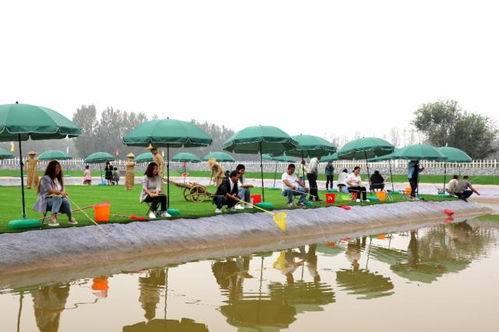 钓螃蟹、套大鹅、喂兔子 北辰区乡村旅游新体验，亲子出游乐趣多